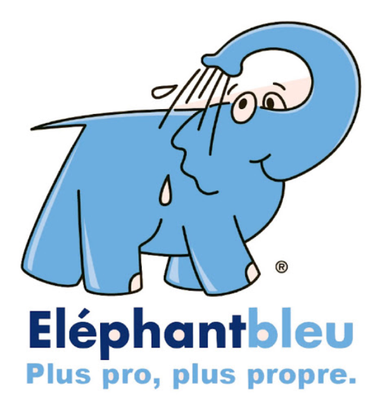 Séminaire et soirée entreprise pour société Elephant bleu