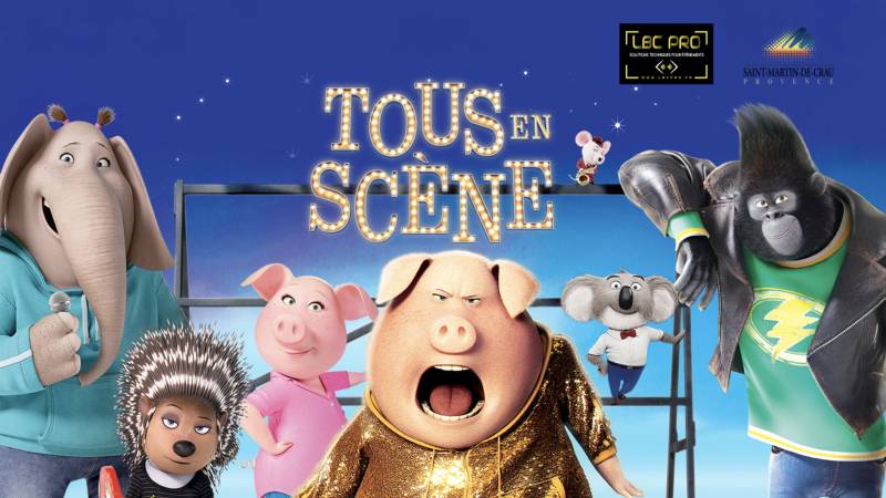 cinema plein air saint martin de crau